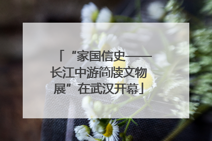 “家国信史——长江中游简牍文物展”在武汉开幕